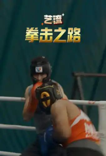 艺流·拳击之路